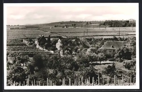 AK Oestrich-Winkel, Blick auf Gasthaus Lohmühle