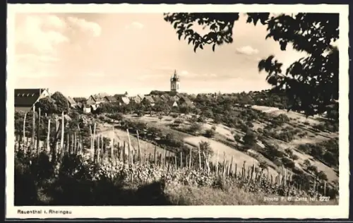 AK Rauenthal i. Rheingau, Teilansicht mit Kirche