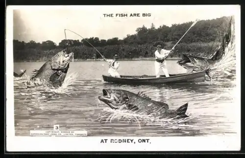 AK Fotomontage, Fischer fangen riesige Fische, The Fish are big at Rodney, Ont.