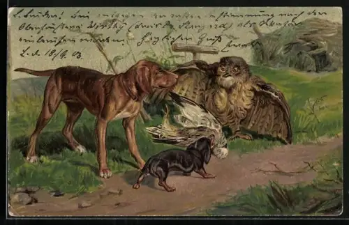 AK Eule verteidigt ihre Beute gegen Dackel und zweiten Jagdhund