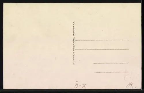 AK Haugsdorf /N. Ö., Gasthof J. Meissl mit Strassenpartie