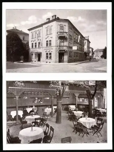 AK Salzburg, Gasthof Gold. Rose in der Auerspergstrasse 30, Inh. Josef Scherfler, Innen- und Aussenansicht, Karte