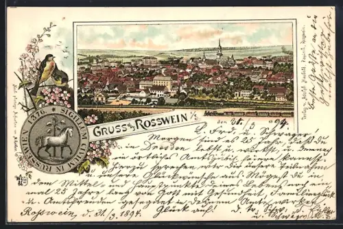 Vorläufer-Lithographie Rosswein i. S., 1894, Ortsansicht aus der Vogelschau