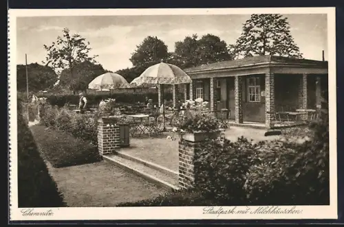 AK Chemnitz, Stadtpark mit Cafe Milchhäuschen