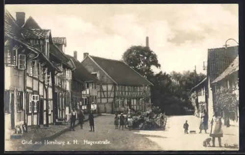 AK Hornburg a. H., Hagenstrasse mit Fachwerkhäusern