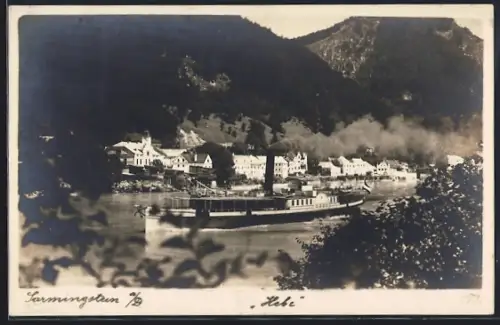 AK St. Nikola-Sarmingstein, Salondampfer Hebe mit Gebirgspanorama