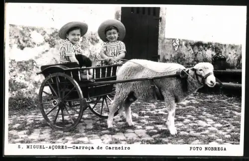 Fotografie Ansicht São Miguel, Kinder im Karren mit Schaf als Zugtier, Carroca de Carneiro