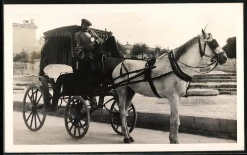 Fotografie maltesische Pferdekutsche wartend auf Fahrgäste