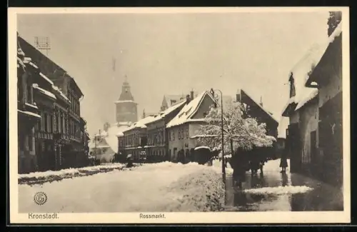 AK Kronstadt, Rossmarkt im Winter