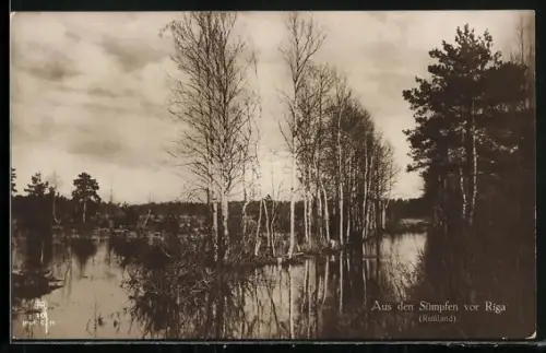 AK Riga, Partie aus den Sümpfen