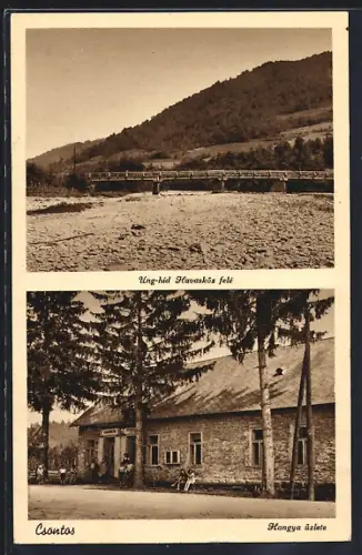 AK Csontos, Ung-hid Havasköz fele, Hangya uzlete