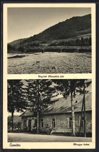 AK Csontos, Hangya uzlete, Ung-hid Havasköz fele