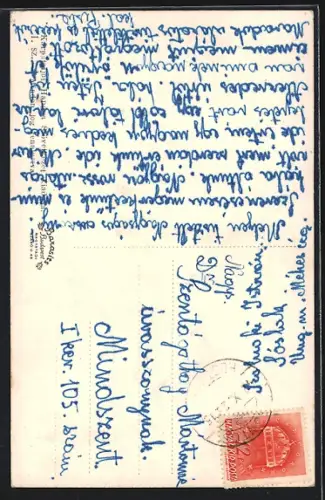 AK Csontos, Hangya uzlete, Ung-hid Havasköz fele