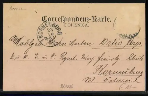 AK Sarajevo, Teilansicht der Ortschaft