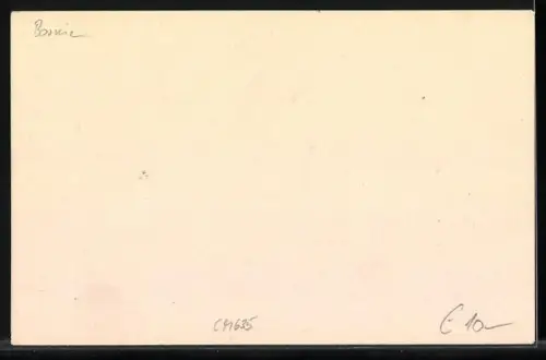 AK Trebinje, Panorama mit Boot