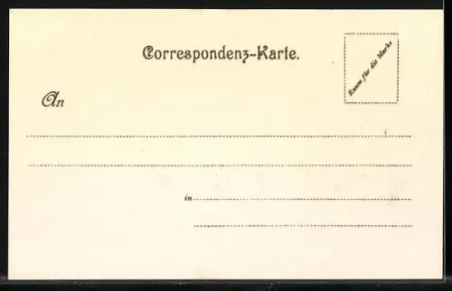 AK Sarajewo, Ortsansicht mit Moschee