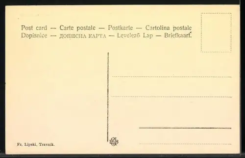 AK Travnik, Panorama, Medresa i grad