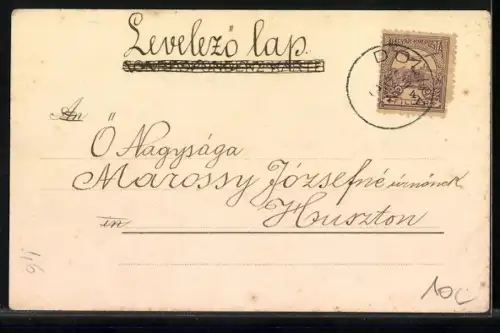 AK Sarajewo, Ortsansicht mit Moschee