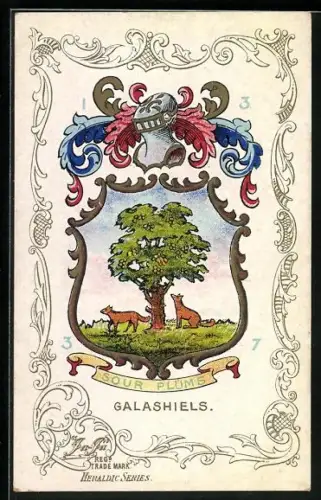 AK Galashiels, Wappen u. Ornament-Rahmen