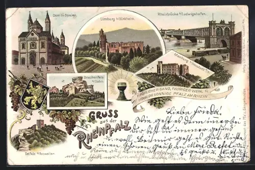 Lithographie Neustadt / Weinstrasse, Dom, Limburg, Rheinbrücke Ludwigshafen, Drachenfels, Wappen