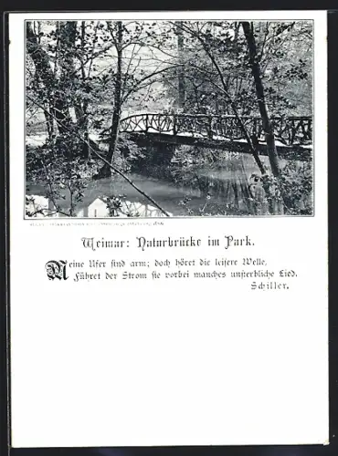AK Weimar / Thüringen, Naturbrücke im Park