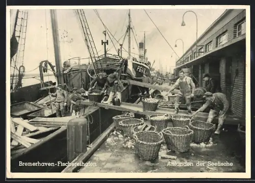 AK Bremerhaven, Anlanden der Seefische