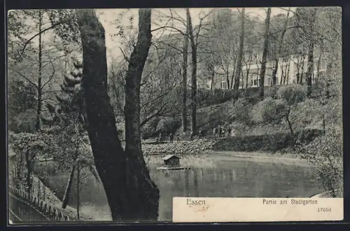 AK Essen, Partie am Stadtgarten