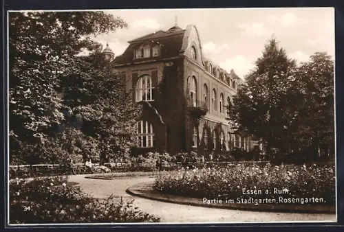 AK Essen, Partie im Stadtgarten, Rosengarten