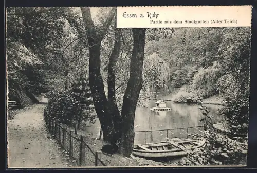 AK Essen a. Ruhr, Alter Teich im Stadtgarten