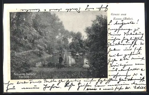 AK Essen /Ruhr, Alter Teich im Stadtgarten