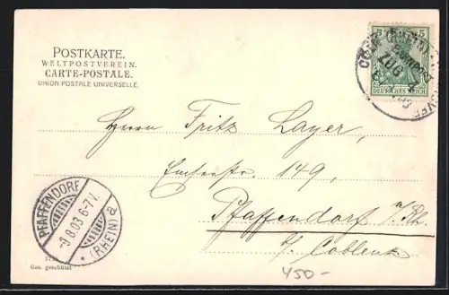 AK Essen, Partie im Stadtgarten