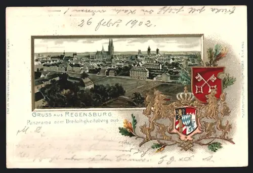 Passepartout-Lithographie Regensburg, Panorama vom Dreifaltigkeitsberg aus