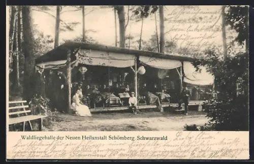 AK Schömberg /Schwarzwald, Waldliegehalle der neuen Heilanstalt