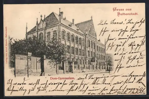 AK Halberstadt, Strassenpartie am Dom-Gymnasium