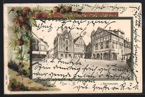 AK Lahr i. B., Partie am Sonnenplatz, Passepartout mit Nadelzweigen und Zapfen