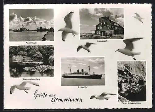 AK Bremerhaven, Gaststätte Strandhalle, Passagierschiff Berlin, Kaiserhafen, Speckenbütteler Park, Fischer flicken Netze