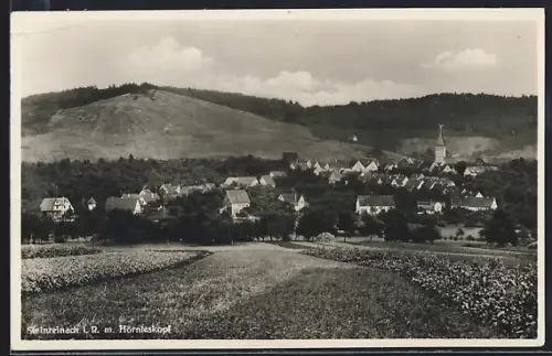AK Steinreinach i. R., Ortsansicht mit Hörnleskopf
