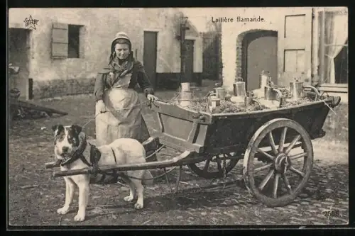 AK Laitière flamande, Hund ist an einen mit Milchkannen beladenen Wagen gespannt, Frau steht hinter dem Gefährt