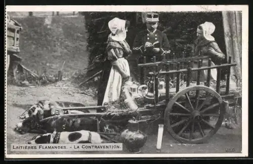 AK Latières Flamandes, la Contravention, Hundegespann zum Milchtransport und Polizist