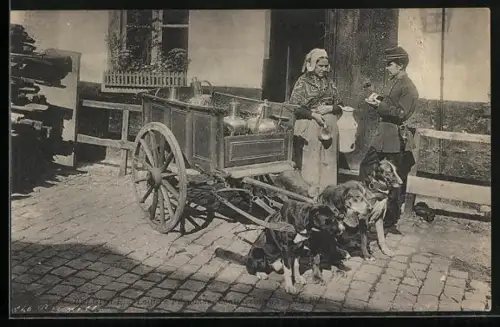 AK Laitiere Flamande, Hundegespann mit Milchkarren