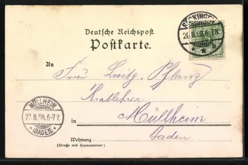 Lithographie Bad Säckingen, Blick über Wasser auf den Ort