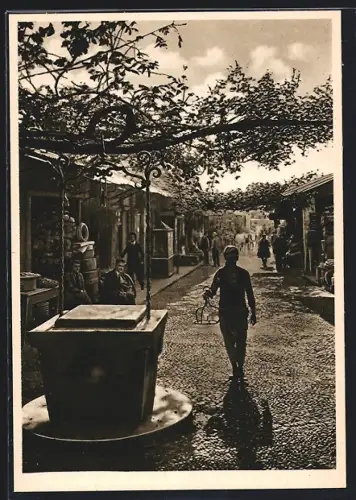 AK Rodi, Vecchio Bazar