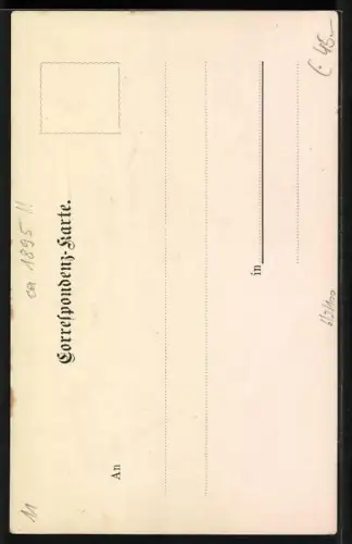 Lithographie Liezen im Ennsthal, Ortsansicht aus der Vogelschau