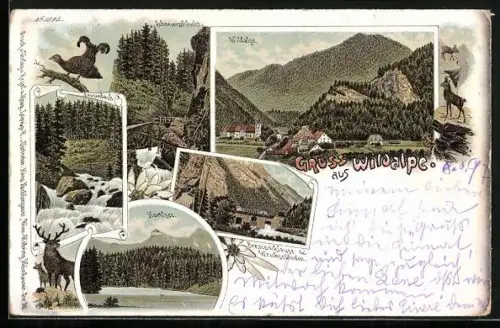 Lithographie Wildalpe, Bresceniklause bei Weichselboden, Schreierschlucht-Partie mit Auerhahn, Ortsansicht mit Umgebung