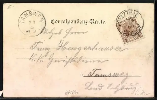 AK Selzthal, Totalansicht, Hotel Huber