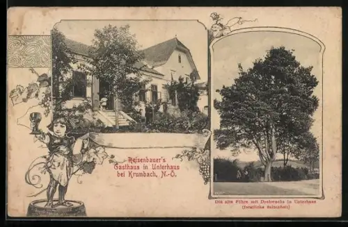 AK Krumbach /N.-Oe., Gruss aus Unterhaus, Reisenbauers Gasthaus, Alte Föhre mit Drehwuchs
