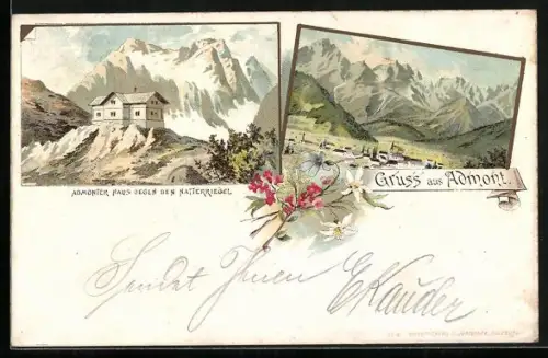 Lithographie Admont, Ortsansicht von oben, Admonter Haus gegen den Natterriegel, Edelweiss