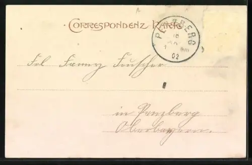 AK Bregenz, Teilansicht, Waisenhausstrasse