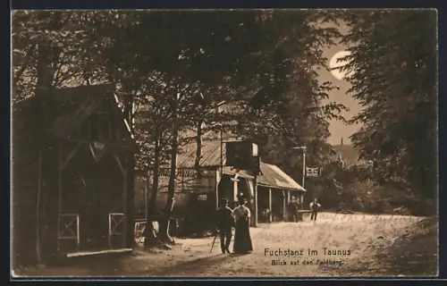AK Fuchstanz im Taunus, Gasthaus Zur Walküre mit Blick auf den Feldberg bei Mondschein