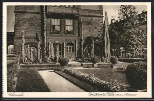 AK Chemnitz, Versteinerter Wald am Museum
